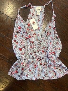 Daytrip Blue & Red Floral Striped  Peplum top